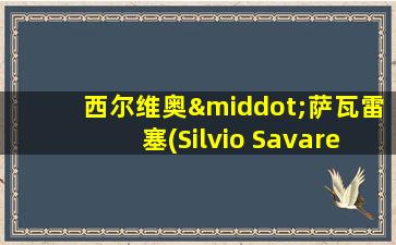 西尔维奥·萨瓦雷塞(Silvio Savarese)